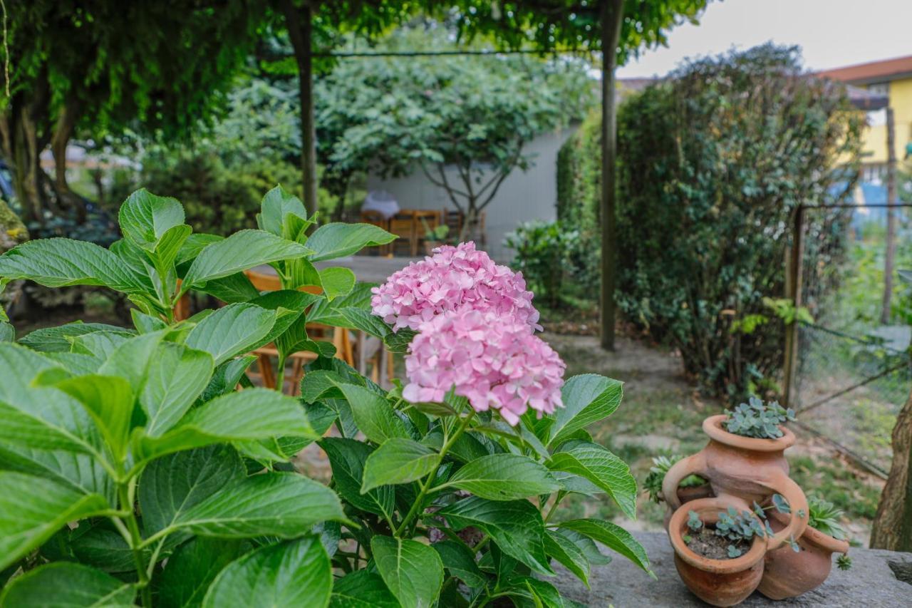 アルバ Il Germano Reale Bed & Breakfast エクステリア 写真