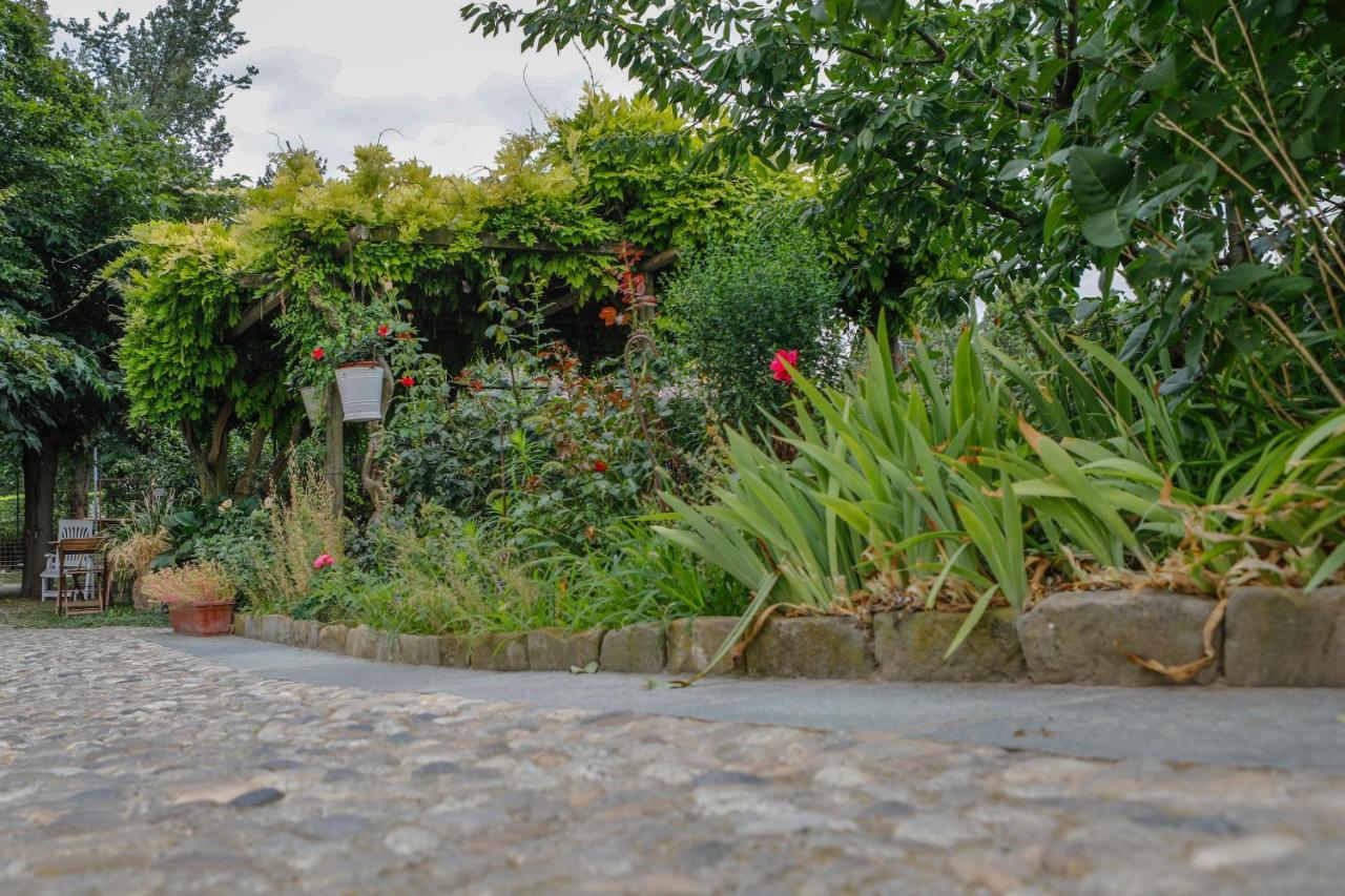 アルバ Il Germano Reale Bed & Breakfast エクステリア 写真