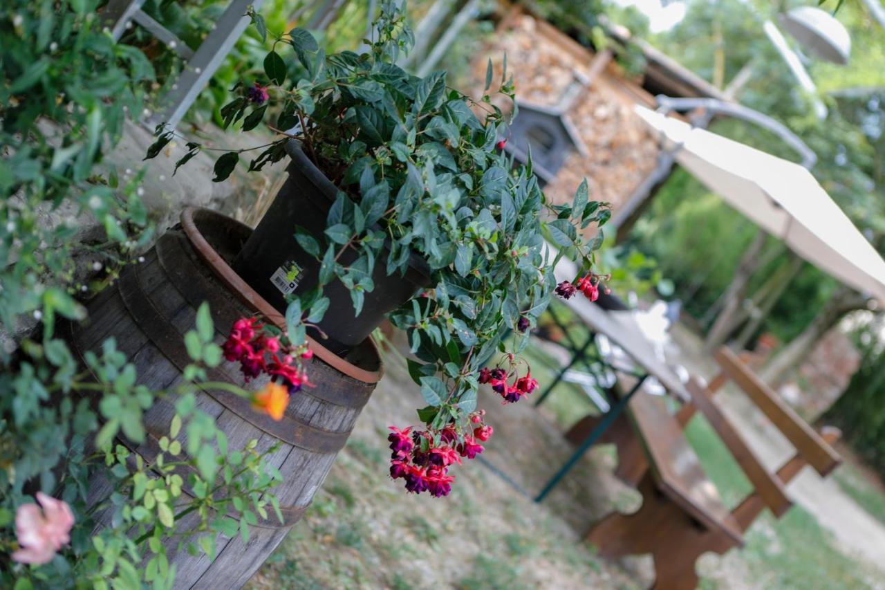 アルバ Il Germano Reale Bed & Breakfast エクステリア 写真